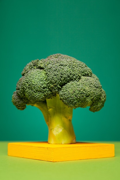 Ripe raw broccoli placed on yellow stand in green studio