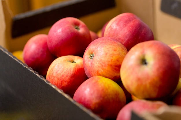 Ripe red apples in cardboard boxes. 