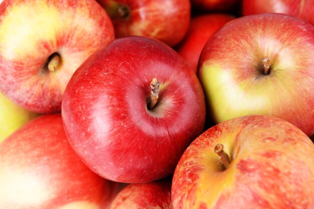 Ripe red apples close up