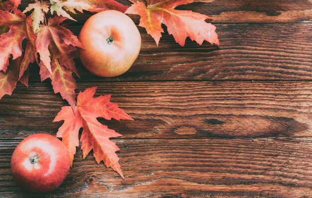 Ripe Red Apples And Colorful Autumn Maple Leaves