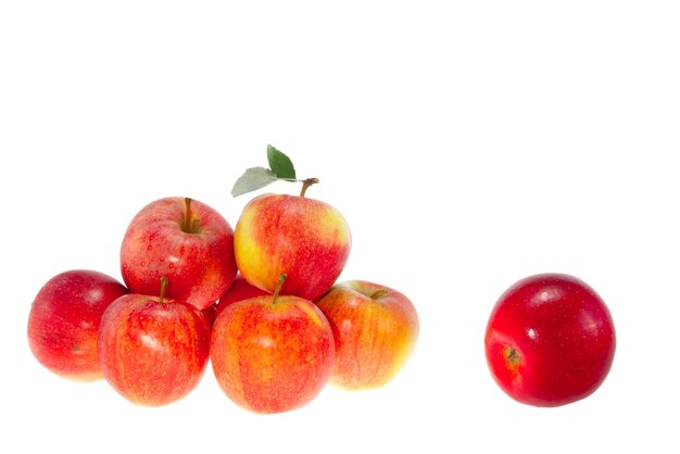 흰색 바탕에 잘 익은 빨간 사과