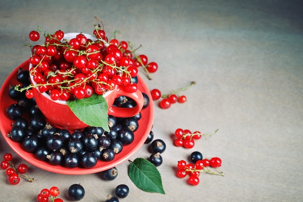 Ripe red and black currants on wooden table.