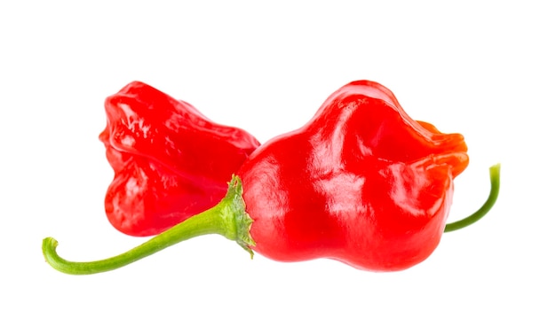 Ripe red chili peppers isolated on a white background Capsicum baccatum or Bishop's crown pepper