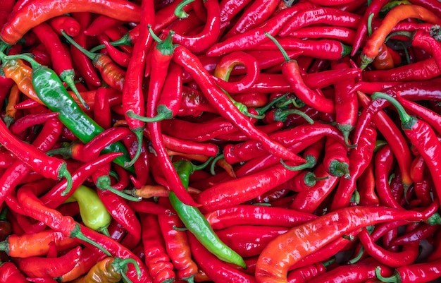 Ripe red chilli pepper