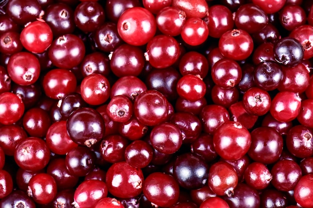 Ripe red cranberries as a texture