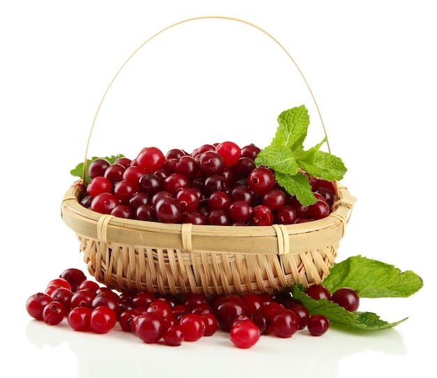 Ripe red cranberries in basket isolated on white