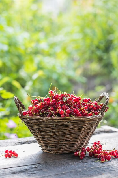 Ripe red currant berries in a bowl  on a rustic wooden background