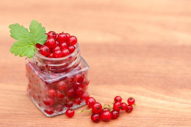 Ripe red currant berries picked from a bush on a neutral table background