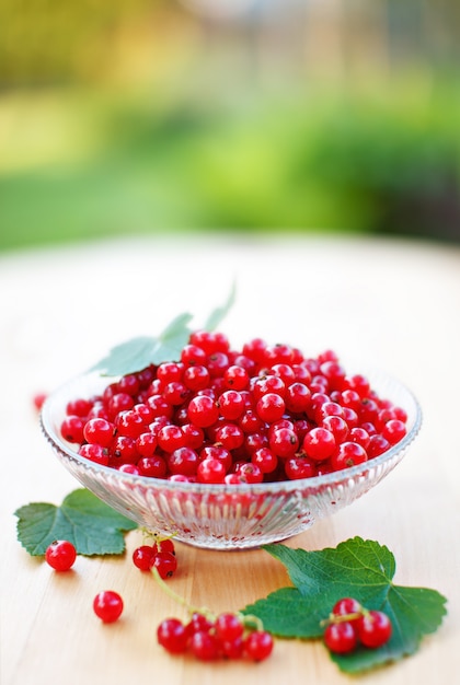 Ripe red currant in bowl shallow dof