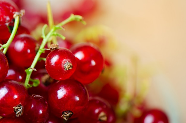 Ripe red currant on wooden .