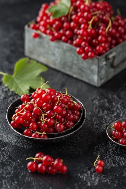 Ripe red currants close-up