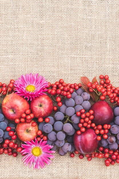 Ripe red fruits and berries are laid out on the table with burlap cloth Still life frame border mockup flat lay top view Festive beautiful autumn background Thanksgiving Day template Harvest