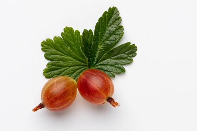 Ripe red gooseberry berry with gooseberry leaf isolated on white background