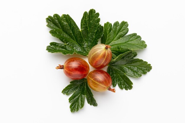 Ripe red gooseberry berry with gooseberry leaf isolated on white background