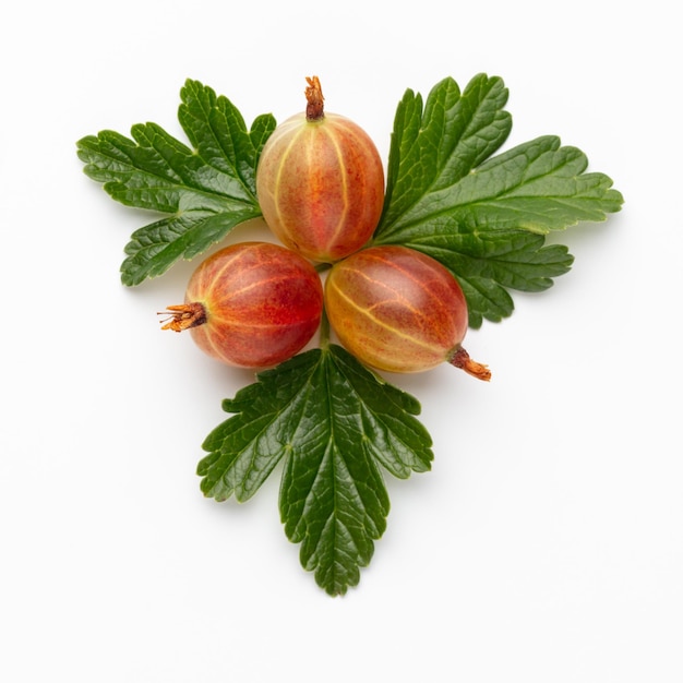 Photo ripe red gooseberry berry with gooseberry leaf isolated on white background