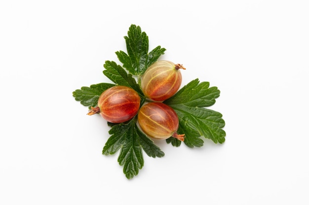 Ripe red gooseberry berry with gooseberry leaf isolated on white background
