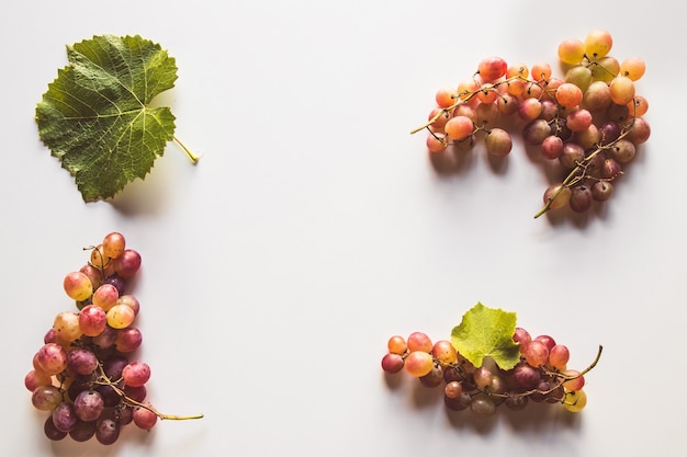Спелый красный виноград с листьями, изолированными на белом