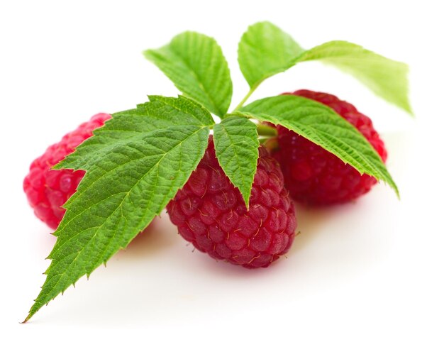 Ripe red raspberries isolated