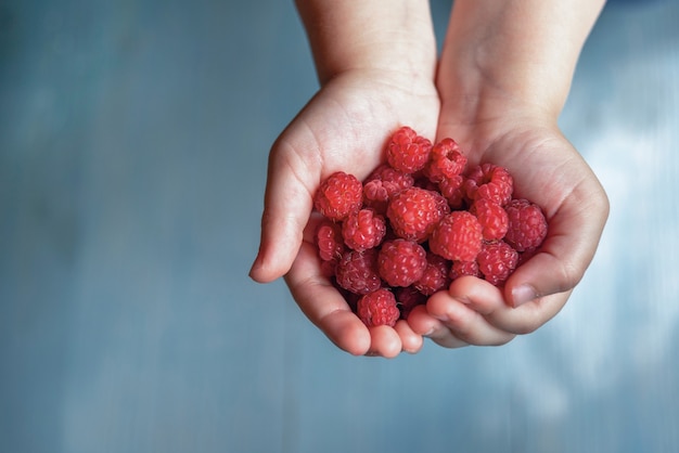 Photo ripe red raspberries in the little children's hands.