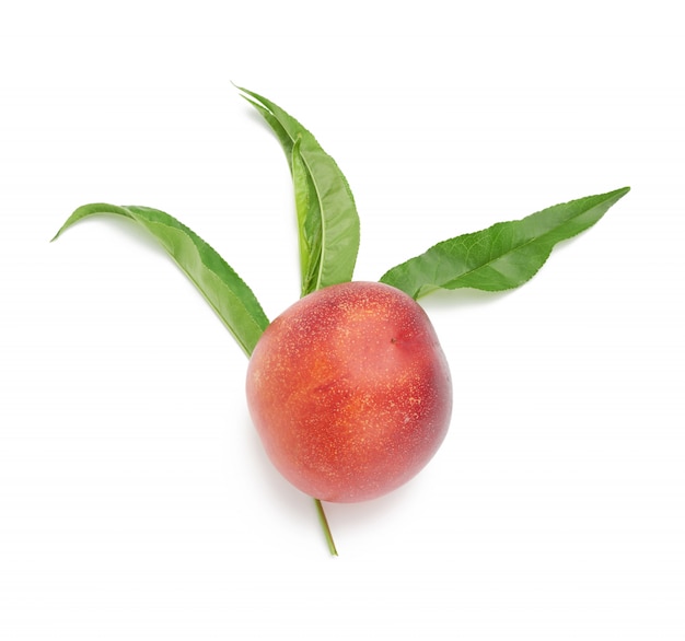 Ripe red round nectarine and a branch with green leaves isolated on white background, top view