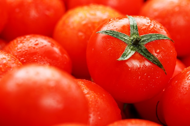 Ripe red tomatoes, with drops of dew.