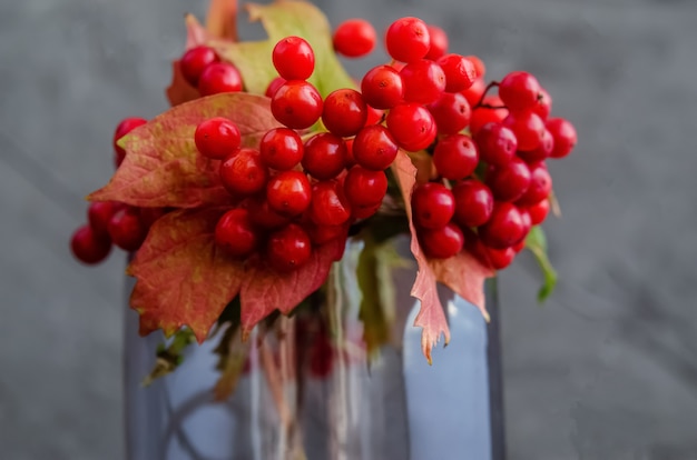 Ripe red viburnum berries with red foliage in a glass vase