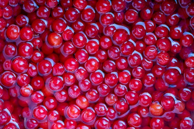 Ripe red viburnum closeup Many berries viburnum in water Background of red berries cooked for jam top view