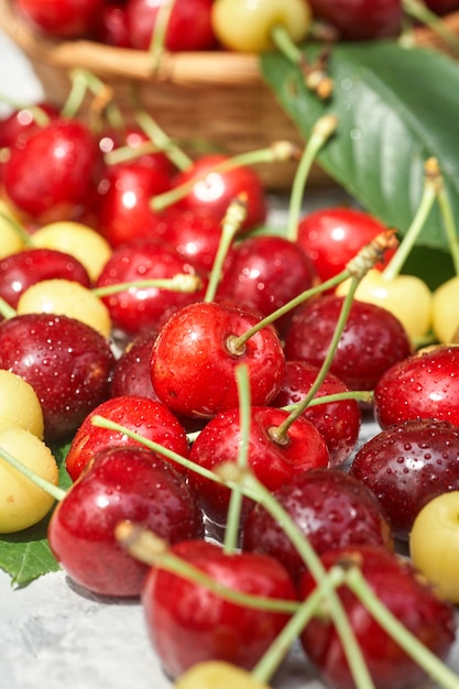 Ripe red and yellow cherries on gray background