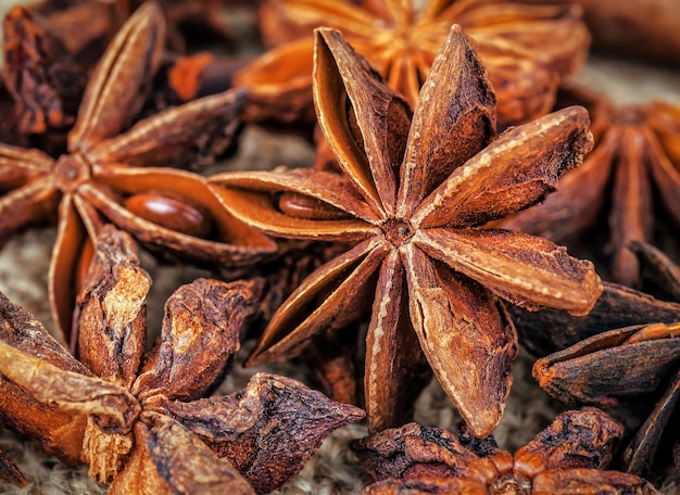 Ripe scented anise star with seed