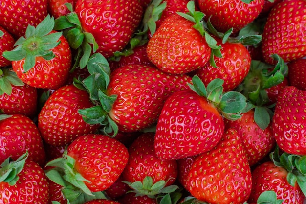 ripe strawberries group close view