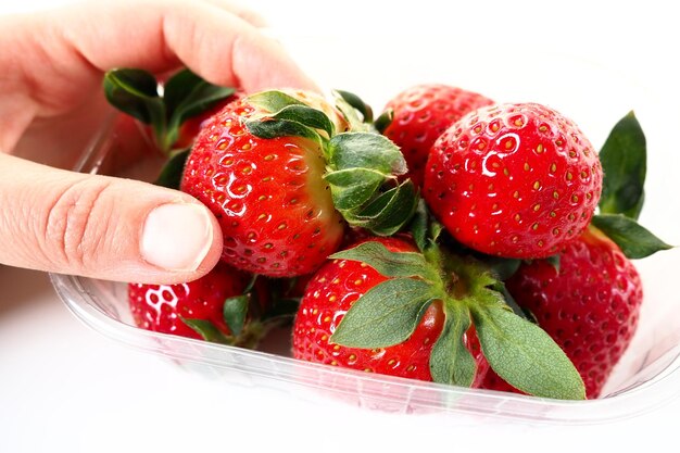 흰색 배경에 플라스틱 패키지에 익은 딸기 고객에게 판매하기 위해 컨테이너에 있는 맛있는 신선한 딸기 음식을 신선하게 유지 건강한 음식 Woman39s 손 잡고 딸기
