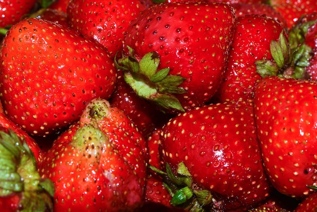 Ripe strawberries