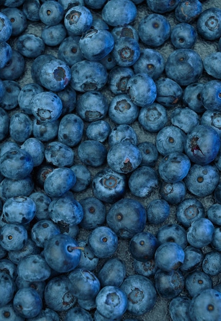 Ripe sweet blueberry fresh blueberries background with copy space for your text vegan and vegetarian concept the macro texture of blueberry berries texture blueberry berries close up