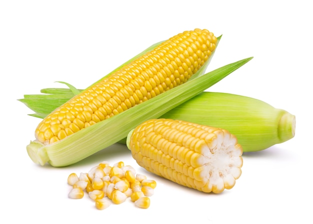 Ripe sweet ear of corn and grains isolated