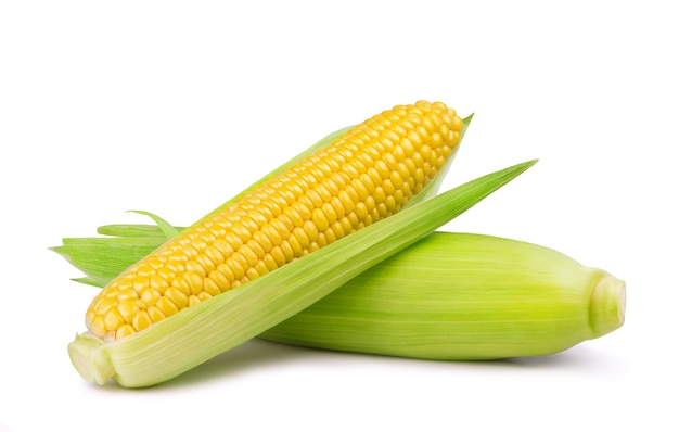 Ripe sweet ear of corn isolated