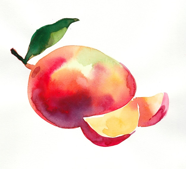 Ripe, sweet juicy mango fruit. Ink and watercolor drawing