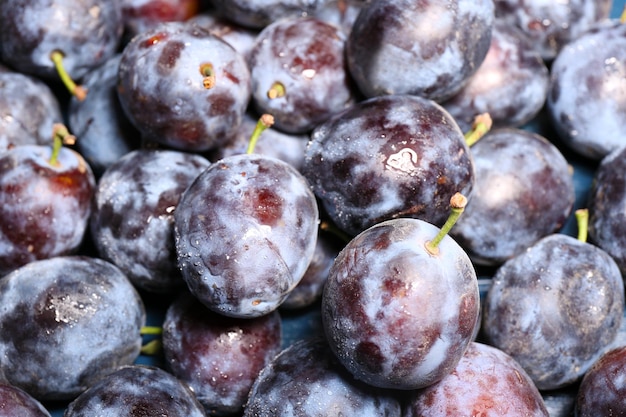 Ripe sweet plums close up