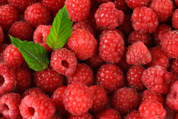 Ripe sweet raspberries close up