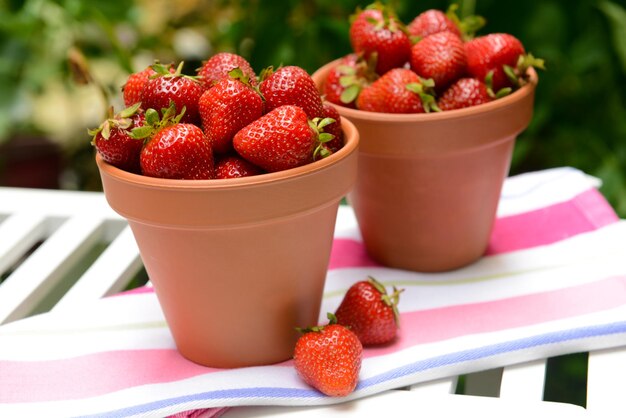 Ripe sweet strawberries in pots on table in garden