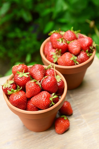 Ripe sweet strawberries in pots on table in garden