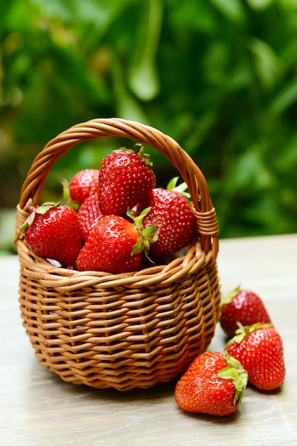 Ripe sweet strawberries in wicker basket on table in garden