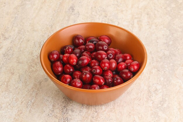 Ripe sweet tasty cranberry in the bowl