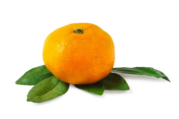 Ripe tangerine with leaves isolated on white background