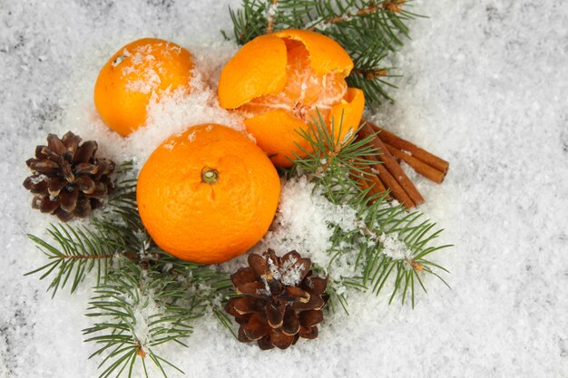Спелые мандарины с еловой веткой в снегу крупным планом