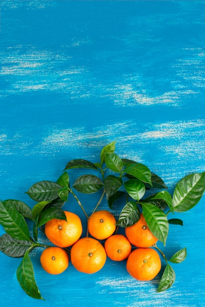 Ripe tangerines with green leaves on a bright blue background 