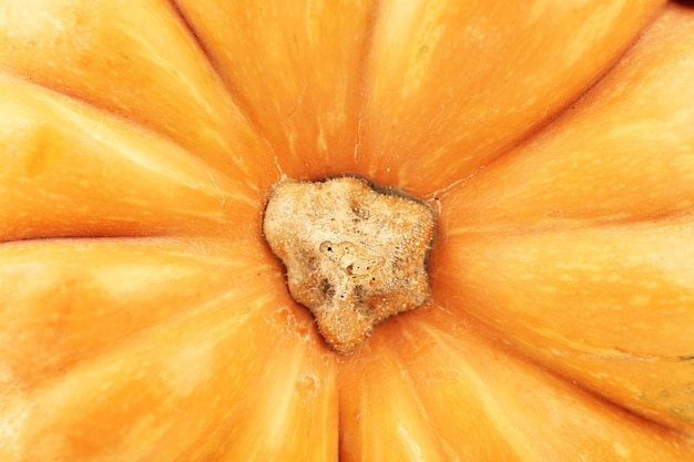 Ripe tasty pumpkin close up