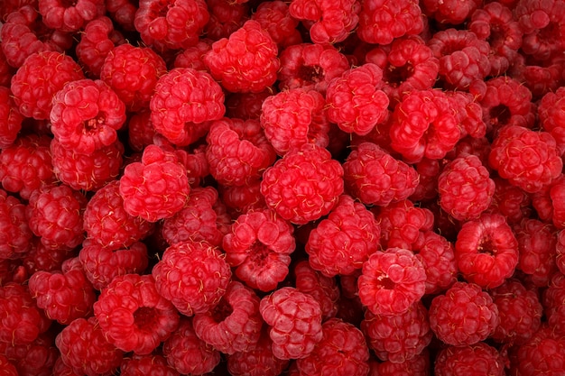 ripe tasty raspberries.