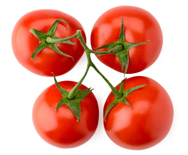 Ripe tomatoes on a branch