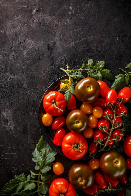 Ripe tomatoes