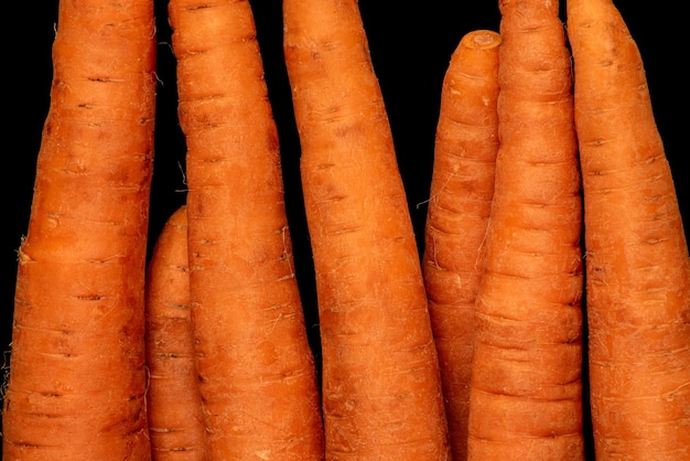 Carota di ortaggi a radice matura su sfondo nero